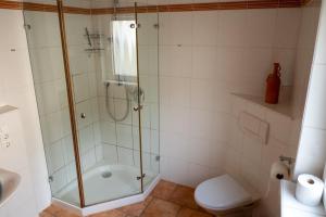 a bathroom with a shower and a toilet and a sink at Ferienwohnung Riesling in Klüsserath