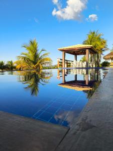 a pool of water with a gazebo and palm trees at Pousada Villa Ricca Park in Niquelândia