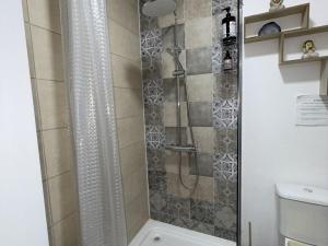 a shower in a bathroom with a toilet and a sink at Cazare Vidin in Basarabi
