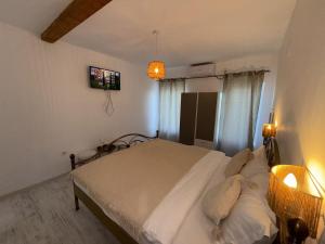 a bedroom with a large bed in a room at Cazare Vidin in Basarabi