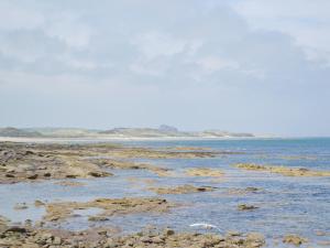 a bird standing on the shore of a body of water at Quill Corner in Alnwick