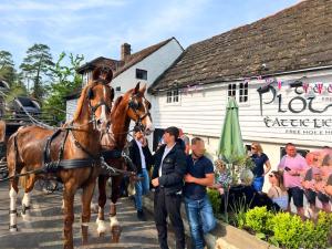 a woman standing next to a horse in front of a crowd at Wysteria, North Lodge in Rusper