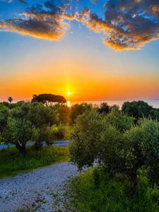 a sunset over a field with trees and a gravel road at Olive Coast House 3 100m from the sea in Kyparissia +9 photos