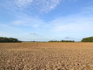 an empty field with a blue sky in the background at Atmospheric in Patrington