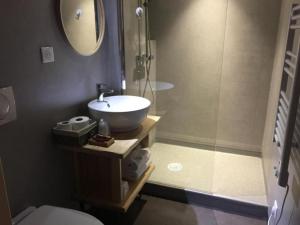 a bathroom with a sink and a shower and a toilet at La Ferme du bien-être in Saint-Julien-Chapteuil