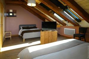a bedroom with two beds and a television in a attic at La Ferme du bien-être in Saint-Julien-Chapteuil +22 photos