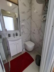 a bathroom with a toilet and a sink and a mirror at Tre sorelle in Piran