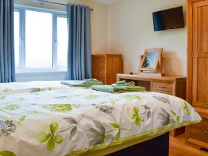 a bedroom with a bed and a television and a window at Sweet Meadow Lodge in Llandrindod Wells