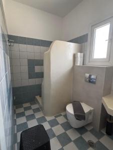 a bathroom with a toilet and a sink at Kapetan Sorokos Studios 2 in Koufonisia +31 photos