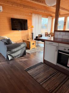 a living room with a couch and a tv on a wall at Bergsbo Lodge in Halmstad