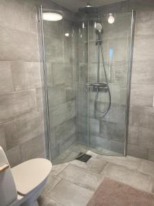 a bathroom with a shower with a toilet at Bergsbo Lodge in Halmstad +45 photos