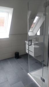 a bathroom with a glass shower and a sink at Ferienwohnung an der Holtemme in Derenburg +10 photos
