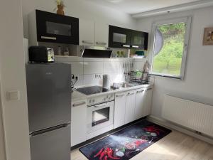 a kitchen with a refrigerator and a sink at DeNi's Ferienwohnungen in Klotten