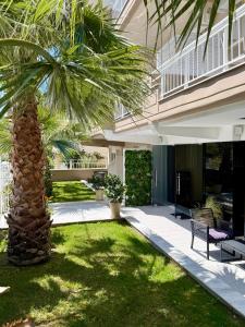 a palm tree in the yard of a house at Brother's House in Kallithea Halkidikis