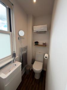 a bathroom with a toilet and a sink and a window at Little Fairfield in Ashover