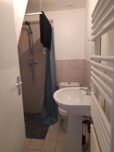 a bathroom with a sink and a toilet and a shower at Studio in Isigny-sur-Mer