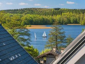 a sailboat on a lake with a house at Artystyczny Picasso apartament z widokiem na jezioro i tarasem in Charzykowy