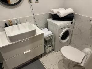 a bathroom with a washing machine and a sink at Cimmele Apartment in Sigulda +14 photos