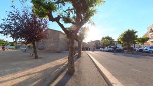 a row of trees on the side of a street at Maison M Bed and Breakfast in Alignan-du-Vent