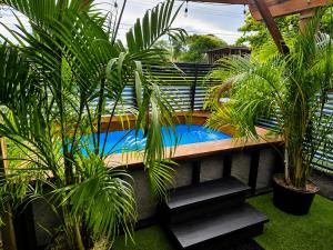 a swimming pool in a garden with plants at Casita Don Marco in Bocas Town