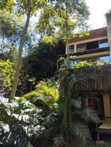 a house with a palm tree in front of it at CASA RANXOXITA in Itaipava