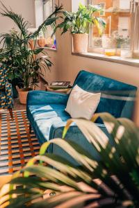 a blue couch in a living room with plants at Garden Hotel Michelangelo in Mestre