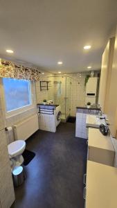 a bathroom with a toilet and a sink and a shower at Ferienhaus am Alten Kloster in Lorch am Rhein +26 photos