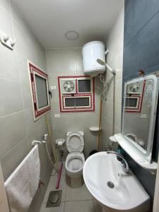 a small bathroom with a toilet and a sink at شقة فندقية غرفة واحدة in Mansoura