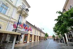 an empty street with a bunch of flags on a building at FLH - Brukenthal Studios - Old Town in Sibiu