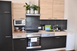 a small kitchen with a stove and a sink at Apartment Soul in Ljubljana