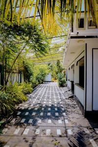 an empty courtyard of a building with trees and plants at TJ Signature Spaces in Point Pedro