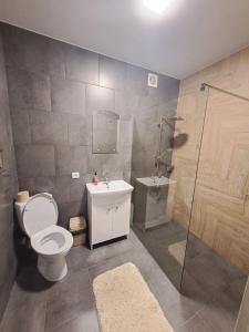 a bathroom with a toilet and a sink and a shower at Яровиця 9699 in Lutsk