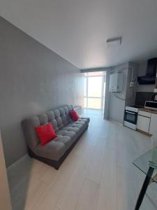 a living room with a couch with two red pillows at Яровиця 9699 in Lutsk