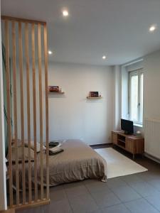 a bedroom with a bed and a desk with a television at La terrasse du palais in Metz