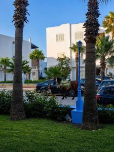 a street light between two palm trees in a parking lot at Plage al amin eden in Fnidek