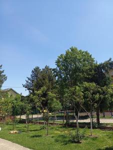 a park with trees in the grass and a sidewalk at Milica Apartmani in Vrdnik