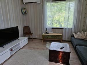a living room with a couch and a tv at Kolmio Kaurialassa in Hämeenlinna