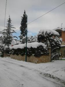Parco Sogni d'Oro during the winter