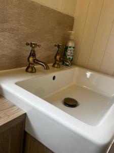 a white sink with two faucets in a bathroom at Lakeside Shepard's Hut 'Sanderling' in Bishampton