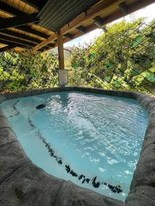 a large pool of water in a building at Hidden Cabins Puerto Rico in Comerio