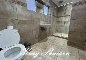 a bathroom with a toilet and a sink and a shower at Travel Lodge in Middelburg