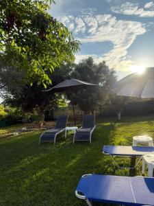 a group of chairs and an umbrella in the grass at Casa di Helena Luxury villa Corfu in Antipernoí