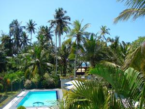 a swimming pool in front of a bunch of palm trees at Villa Estuary in Bentota