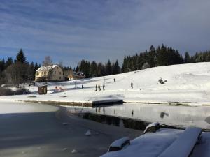 Horská vila Wander talvel