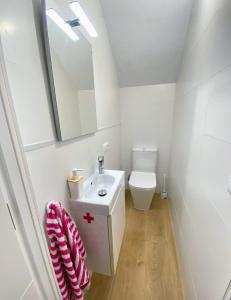 a bathroom with a sink and a toilet and a mirror at El Nidito del valle del Tietar in La Iglesuela