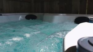a bathtub filled with green water with a dog in it at The Bannville Hotel in Banbridge