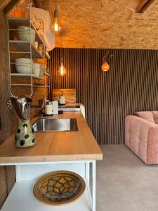 a kitchen with a sink and a counter at Tinkerbell in Oosterbeek +21 photos