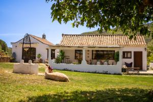 a house with a large animal laying in the grass at Finca Santa Teresa, Casa La Higuera in Casares +13 photos