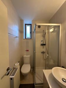 a bathroom with a toilet and a shower and a sink at Four Stories Lefkara in Pano Lefkara