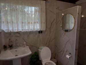 a bathroom with a sink and a toilet and a mirror at Poseidon Horizon in Leptokarya +22 photos